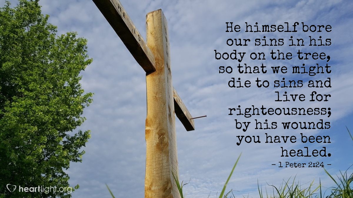 1 Peter 2:24 Illustrated: