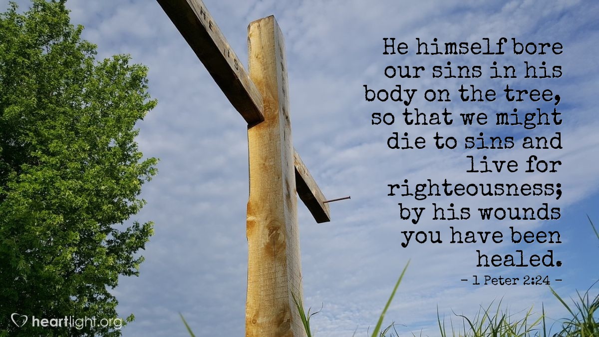 1 Peter 2:24 | He himself bore our sins in his body on the tree, so that we might die to sins and live for righteousness; by his wounds you have been healed.