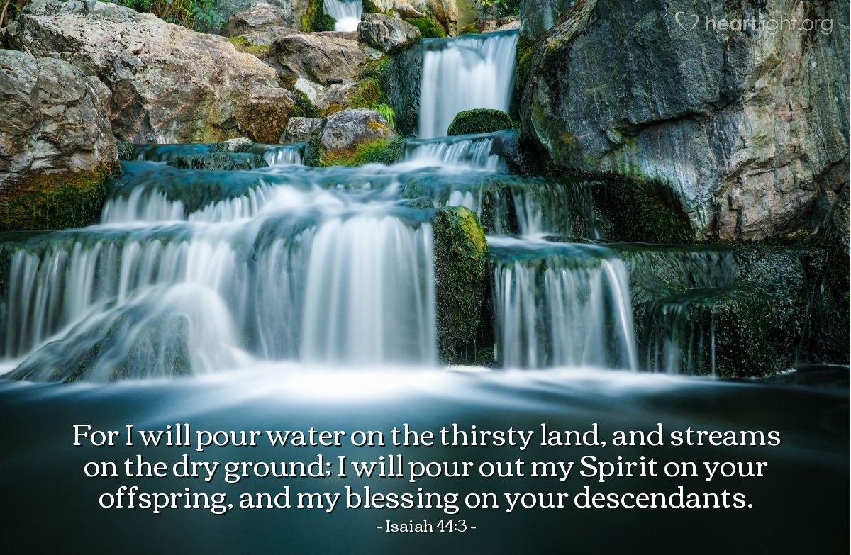 Isaiah 44:3 | For I will pour water on the thirsty land, and streams on the dry ground; I will pour out my Spirit on your offspring, and my blessing on your descendants.