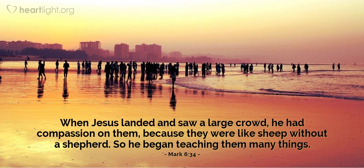 Illustration of Mark 6:34 — When Jesus landed and saw a large crowd, he had compassion on them, because they were like sheep without a shepherd. So he began teaching them many things.