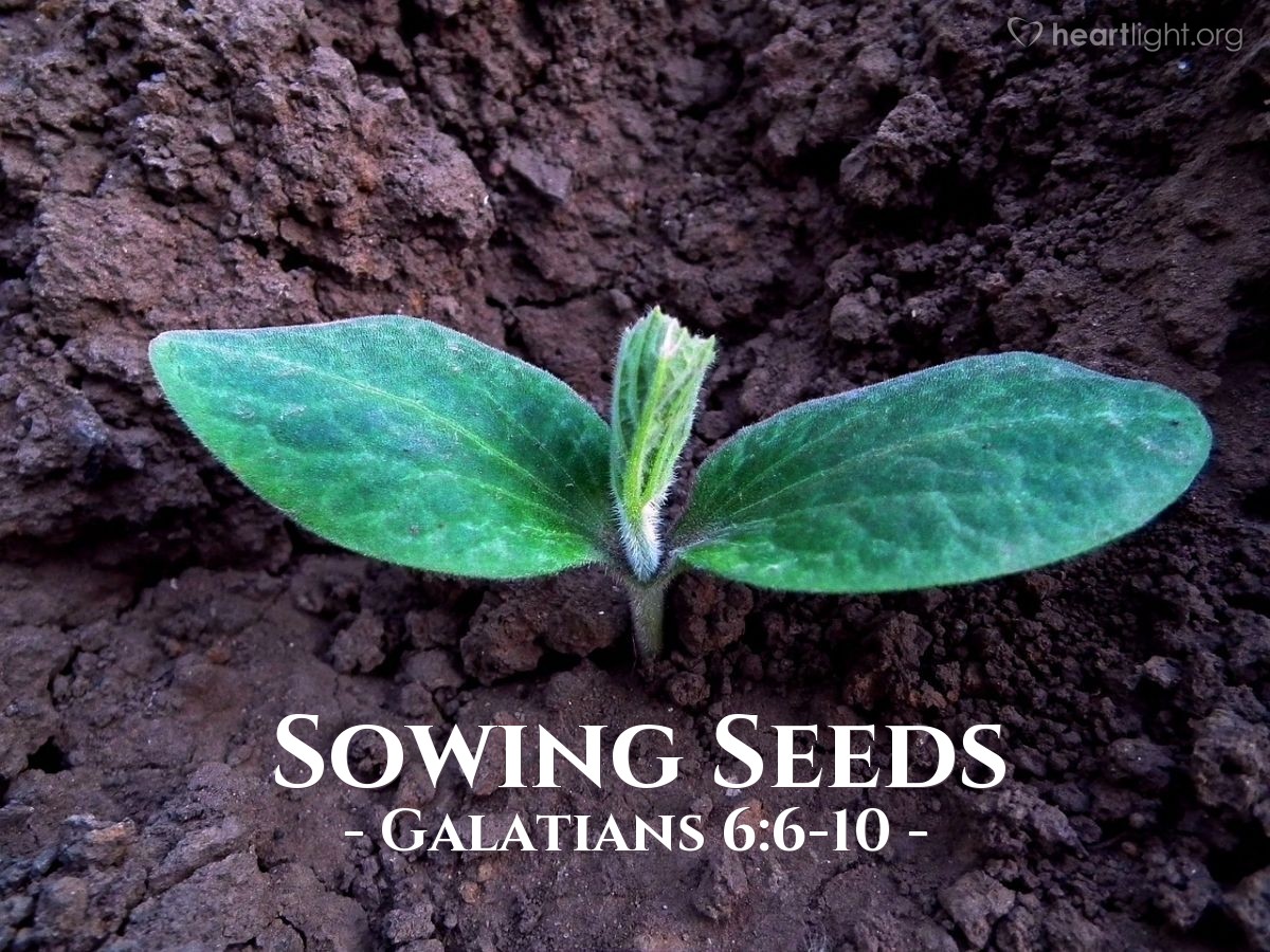 Reaping Righteousness — Galatians 6:7-8