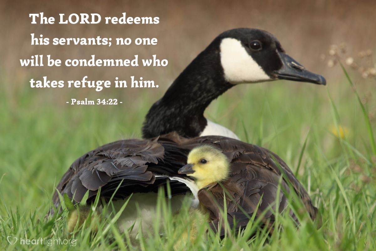 Illustration of Psalm 34:22 on Refugees