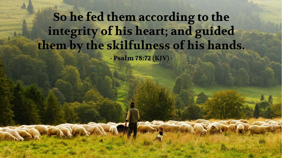 Illustration of Psalm 78:72 (KJV) — So he fed them according to the integrity of his heart; and guided them by the skilfulness of his hands.