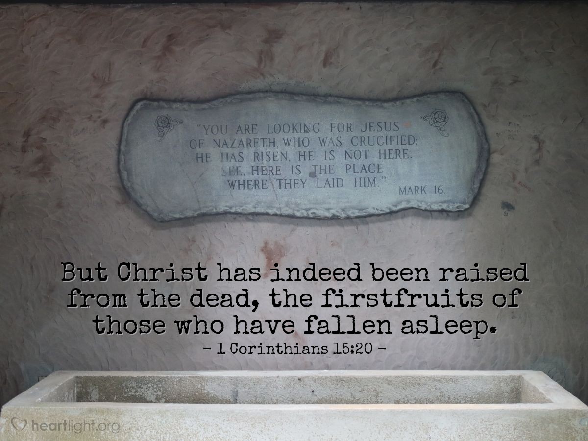 Illustration of 1 Corinthians 15:20 — But Christ has indeed been raised from the dead, the firstfruits of those who have fallen asleep.