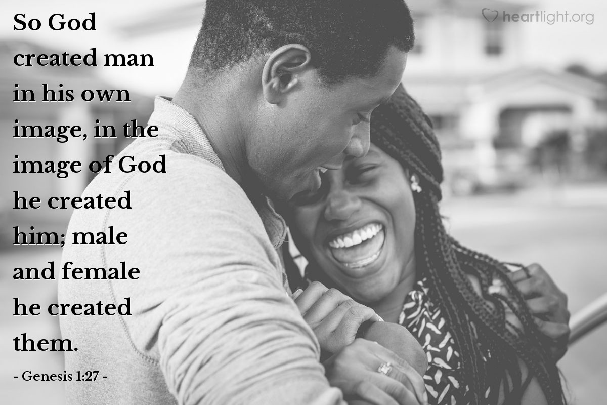 Illustration of Genesis 1:27 — So God created man in his own image, in the image of God he created him; male and female he created them.