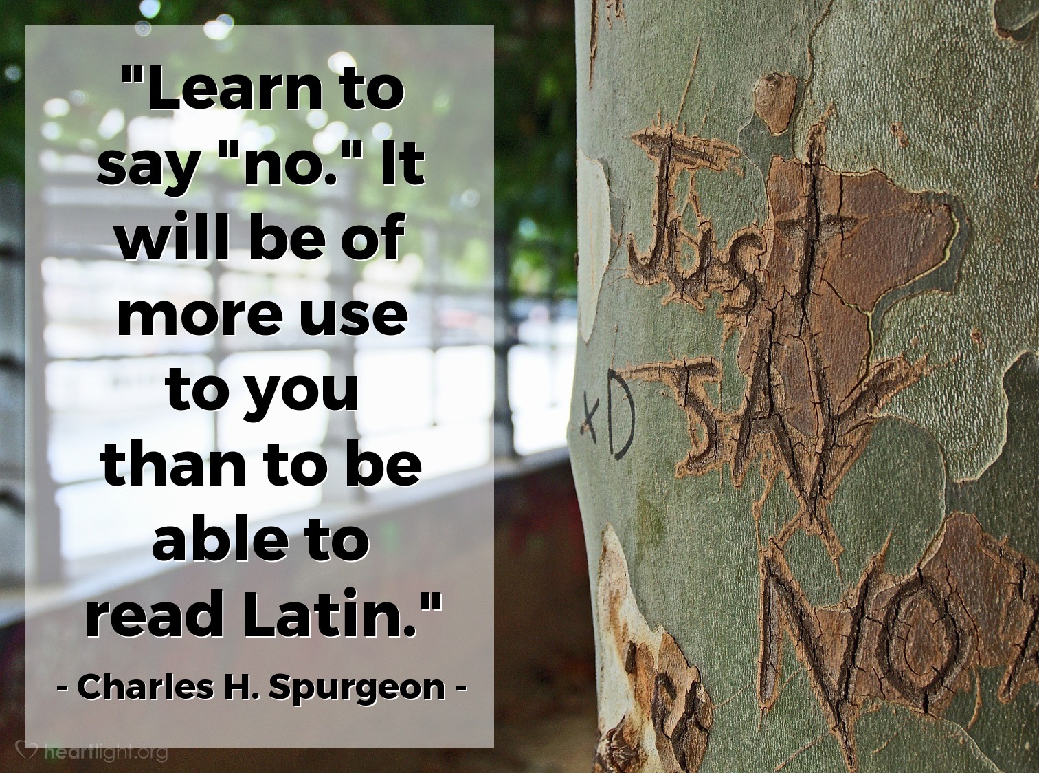Illustration of Charles H. Spurgeon — "Learn to say "no." It will be of more use to you than to be able to read Latin."