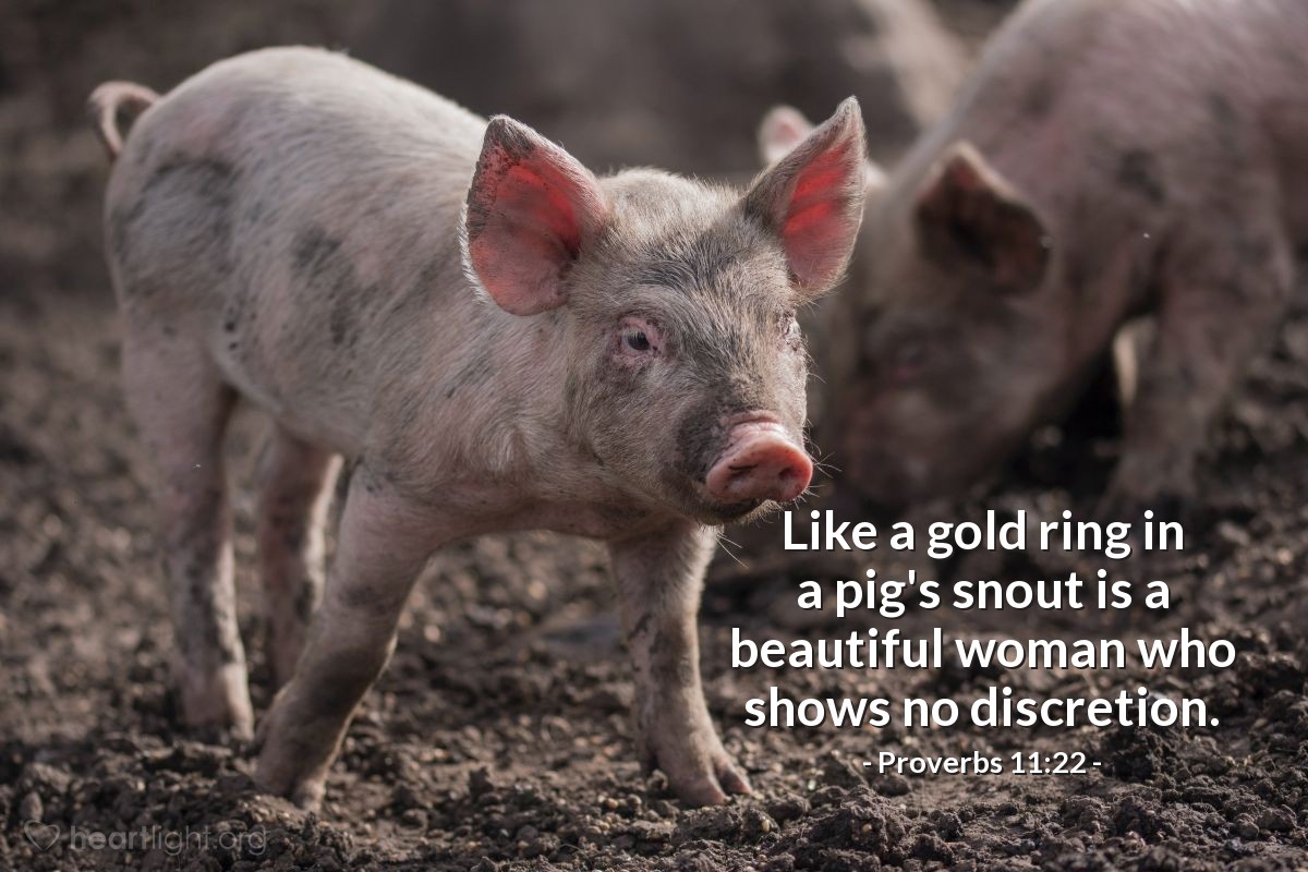 Illustration of Proverbs 11:22 — Like a gold ring in a pig's snout is a beautiful woman who shows no discretion.