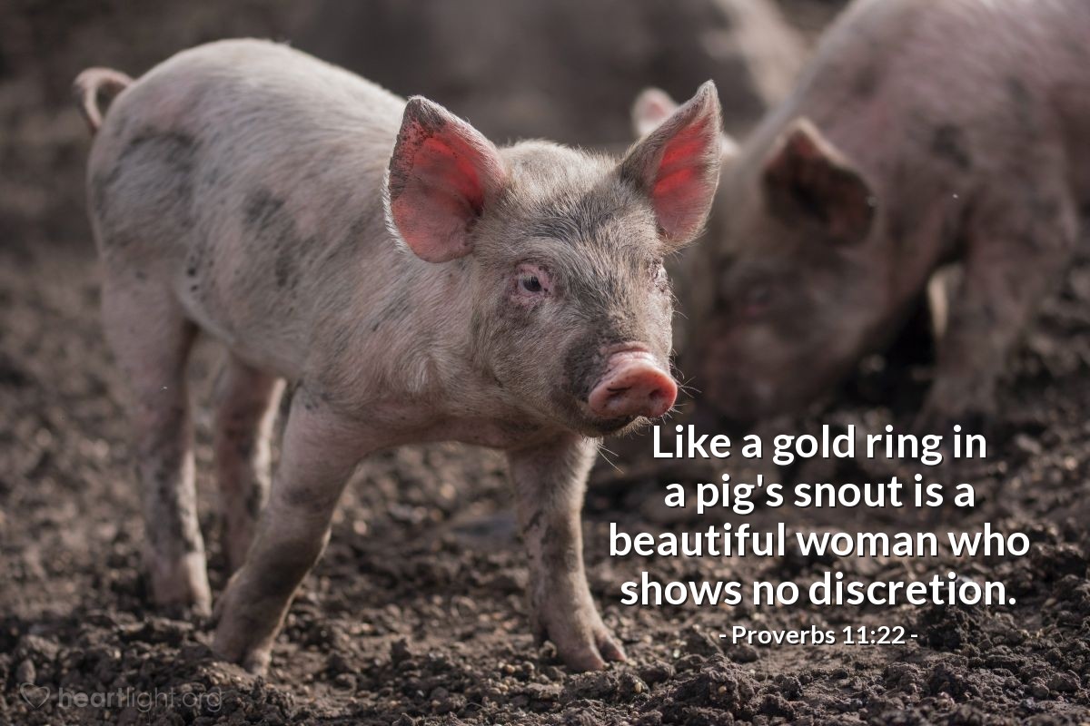 Proverbs 11:22 | Like a gold ring in a pig's snout is a beautiful woman who shows no discretion.