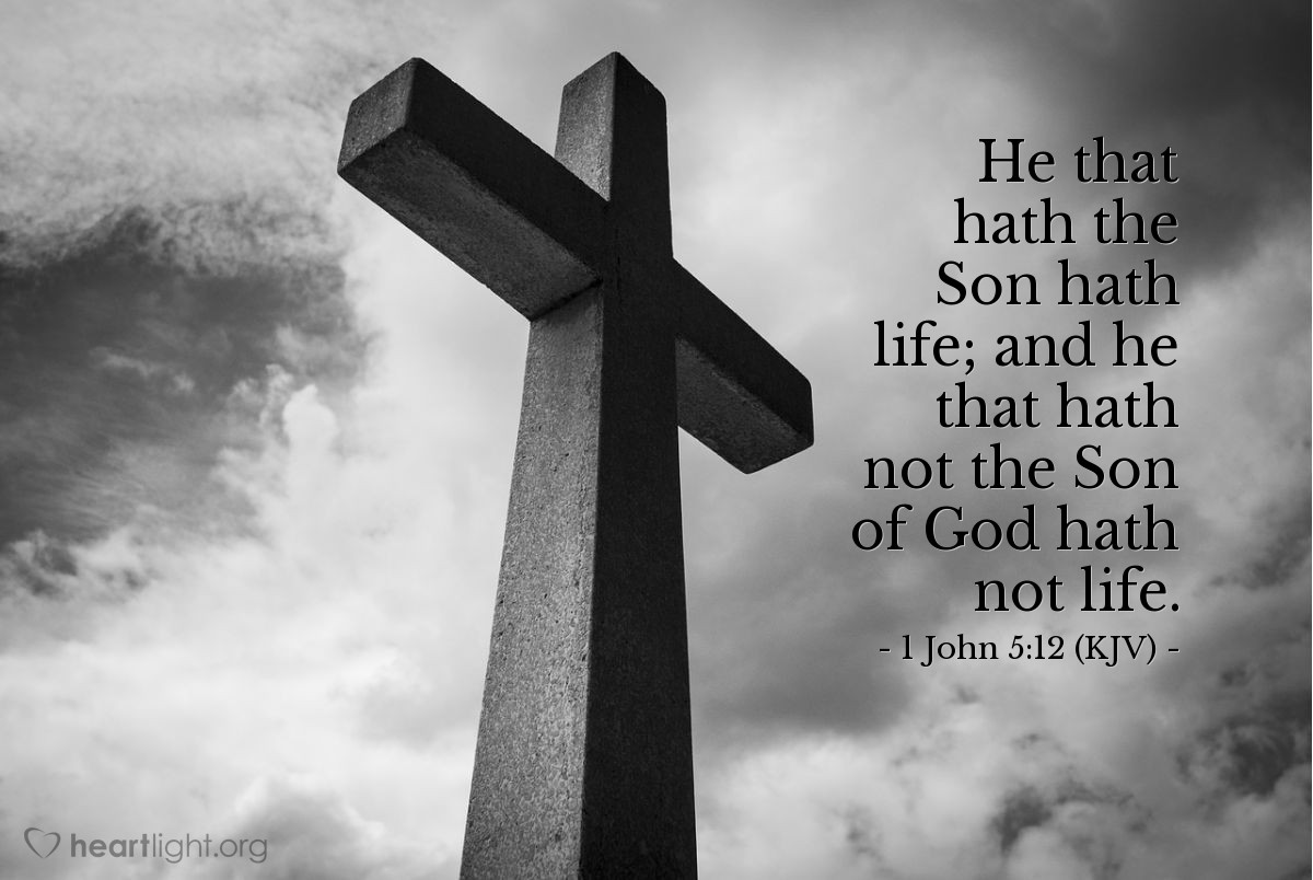 Illustration of 1 John 5:12 (KJV) — He that hath the Son hath life; and he that hath not the Son of God hath not life.