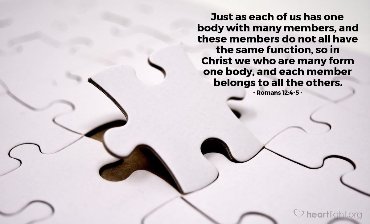 Romans 12:4-5 | Just as each of us has one body with many members, and these members do not all have the same function, so in Christ we who are many form one body, and each member belongs to all the others.