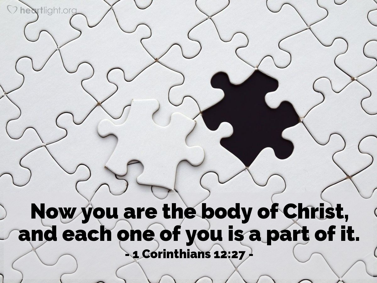 Illustration of 1 Corinthians 12:27 — Now you are the body of Christ, and each one of you is a part of it.