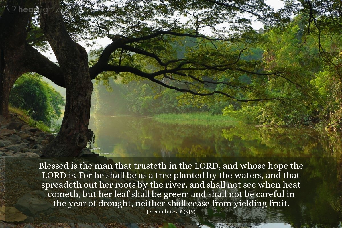 Illustration of Jeremiah 17:7-8 (KJV) — Blessed is the man that trusteth in the Lord, and whose hope the Lord is. For he shall be as a tree planted by the waters, and that spreadeth out her roots by the river, and shall not see when heat cometh, but her leaf shall be green; and shall not be careful in the year of drought, neither shall cease from yielding fruit.