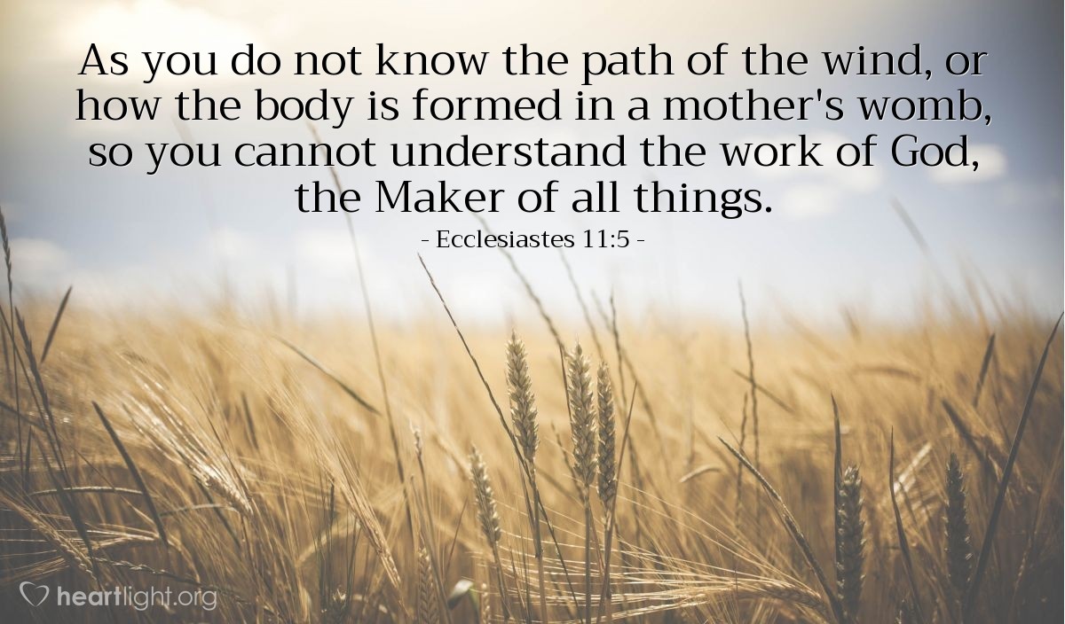 Ecclesiastes 11:5 | As you do not know the path of the wind, or how the body is formed in a mother's womb, so you cannot understand the work of God, the Maker of all things.