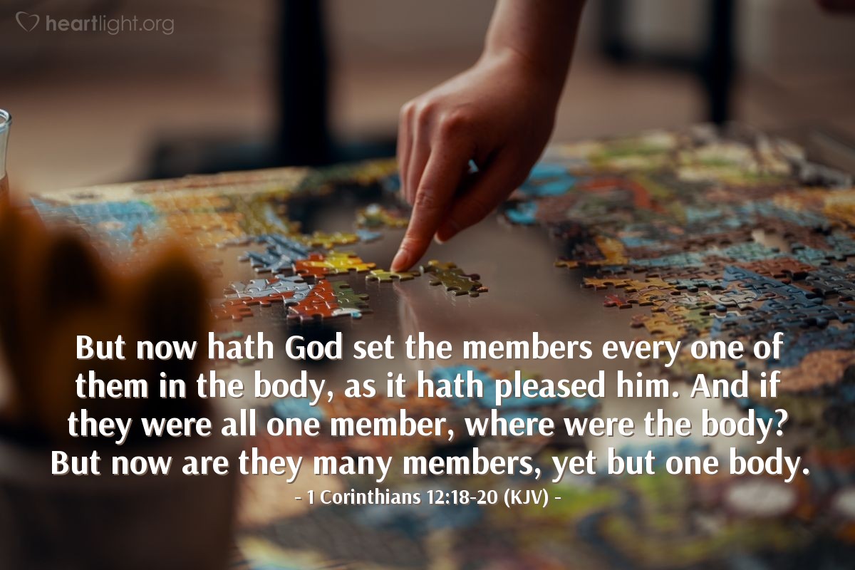Illustration of 1 Corinthians 12:18-20 (KJV) — But now hath God set the members every one of them in the body, as it hath pleased him. And if they were all one member, where were the body? But now are they many members, yet but one body.
