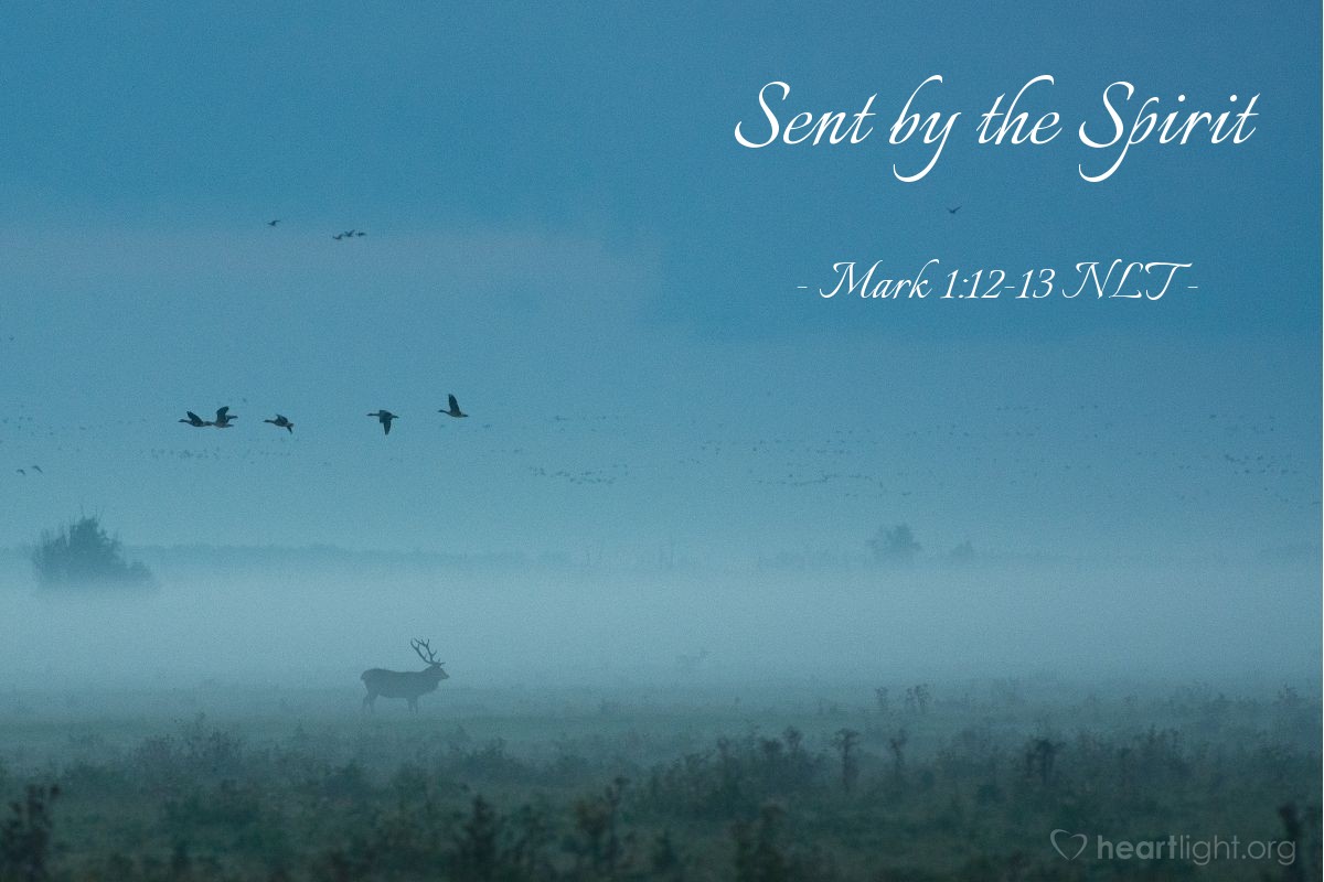 Illustration of Mark 1:12-13 NLT — The Spirit then compelled Jesus to go into the wilderness, where he was tempted by Satan for forty days. He was out among the wild animals, and angels took care of him.