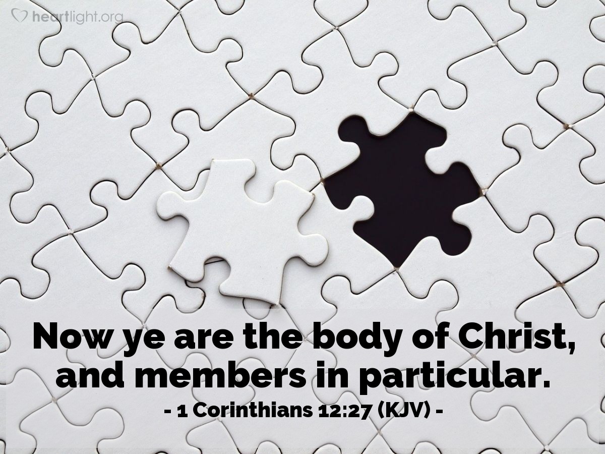 Illustration of 1 Corinthians 12:27 (KJV) — Now ye are the body of Christ, and members in particular.