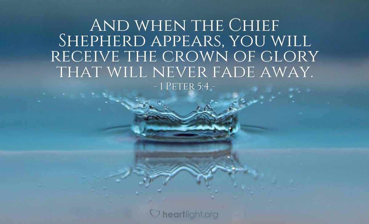 Illustration of 1 Peter 5:4 — And when the Chief Shepherd appears, you will receive the crown of glory that will never fade away.
