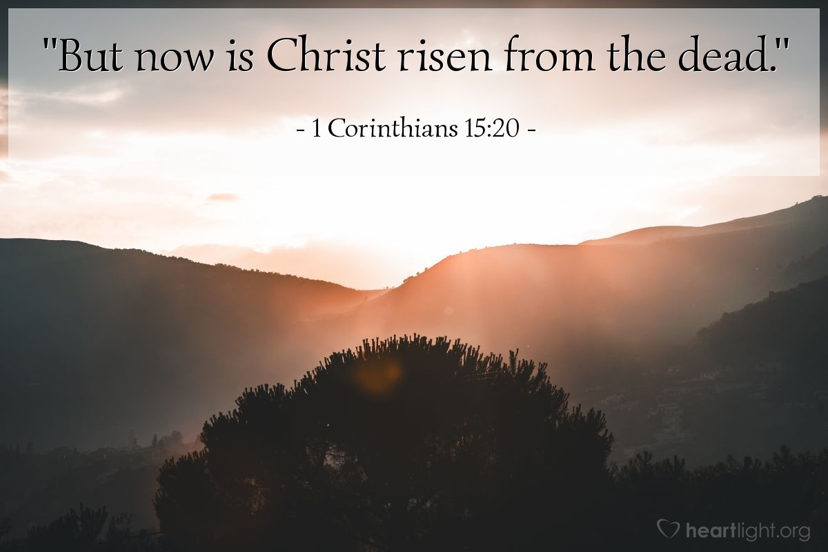 Illustration of 1 Corinthians 15:20 — "But now is Christ risen from the dead."