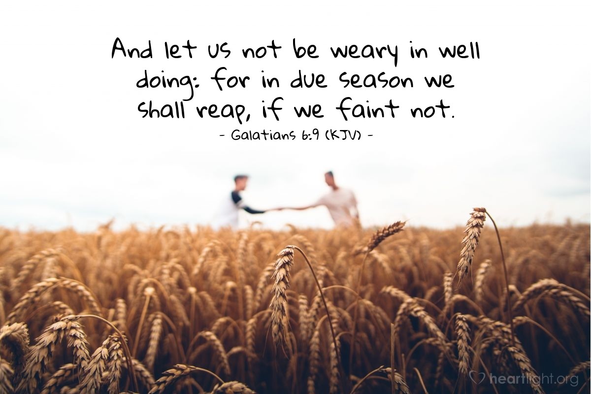 Illustration of Galatians 6:9 (KJV) — And let us not be weary in well doing: for in due season we shall reap, if we faint not.
