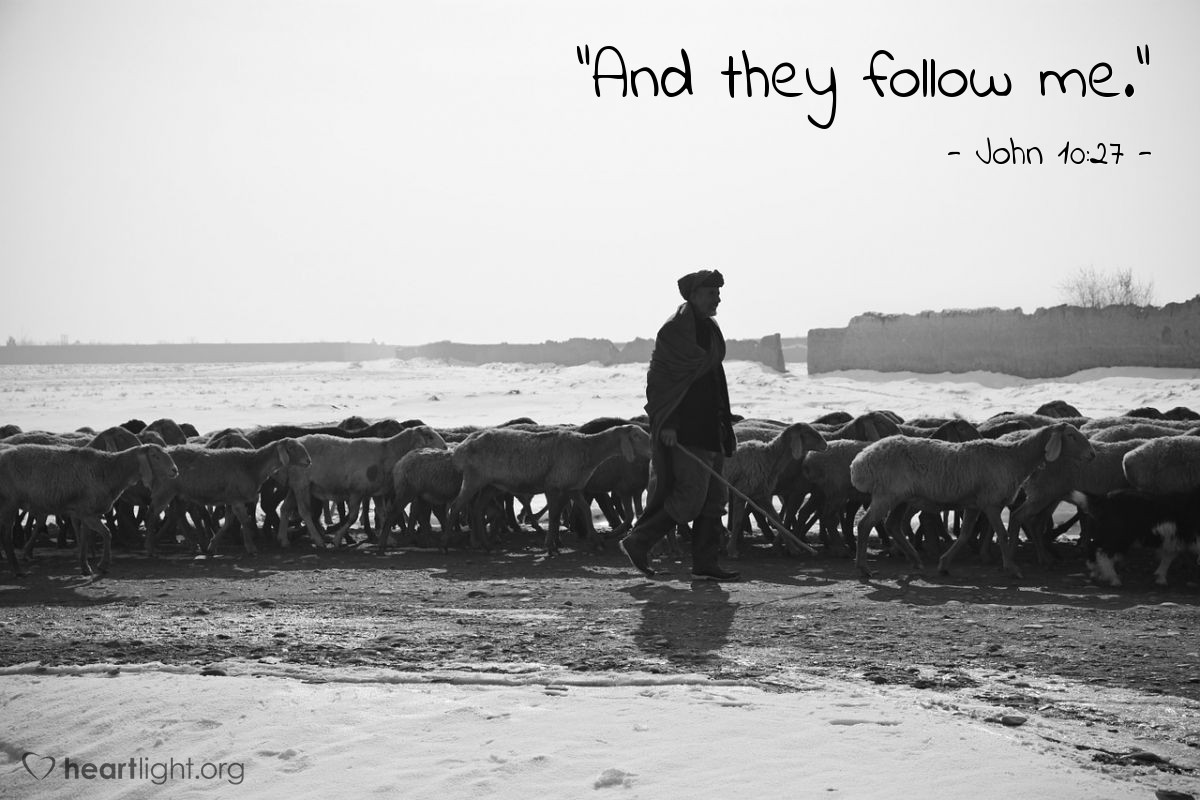 Illustration of John 10:27 — "And they follow me."