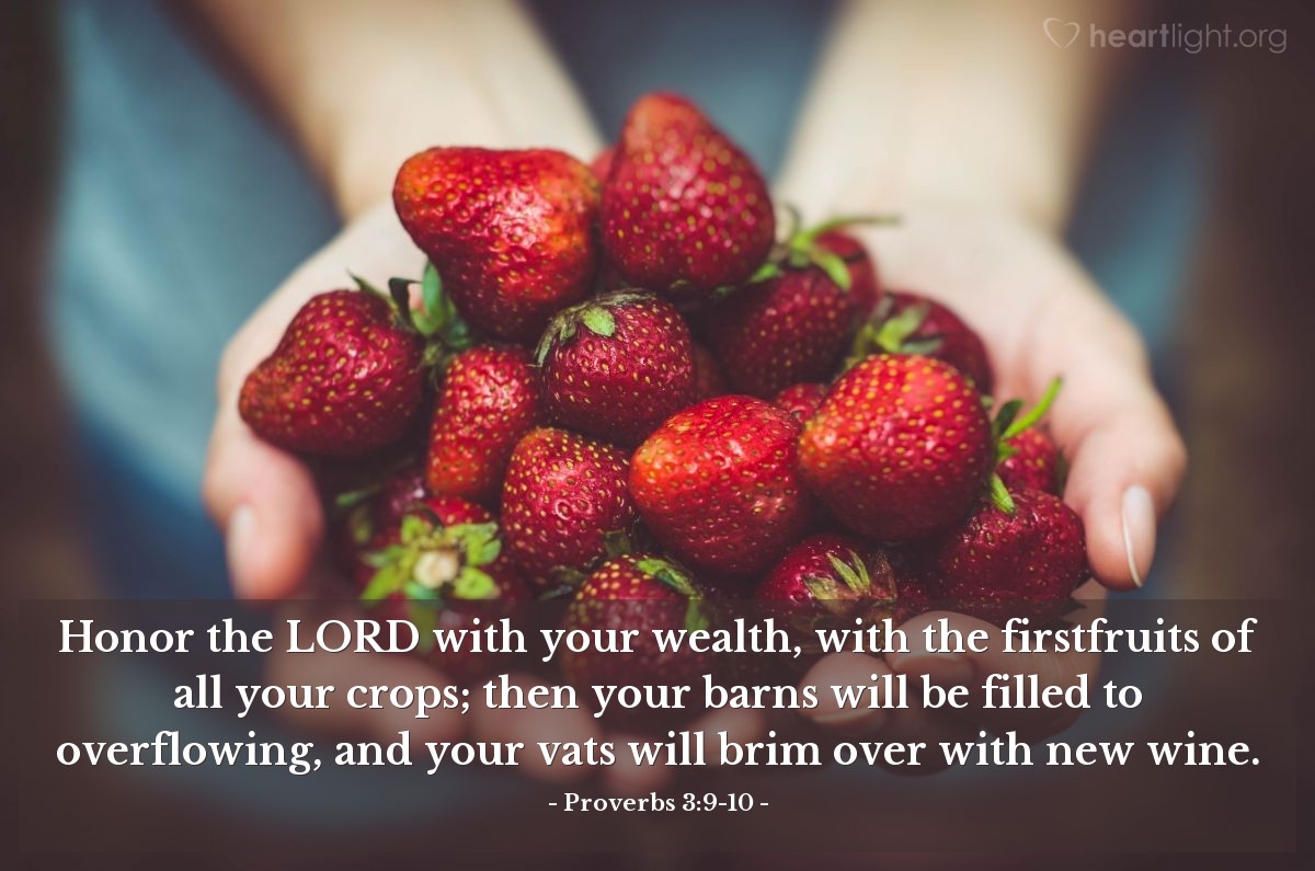 Proverbs 3 9 10 Illustrated Honor The LORD With Your Wealth With 