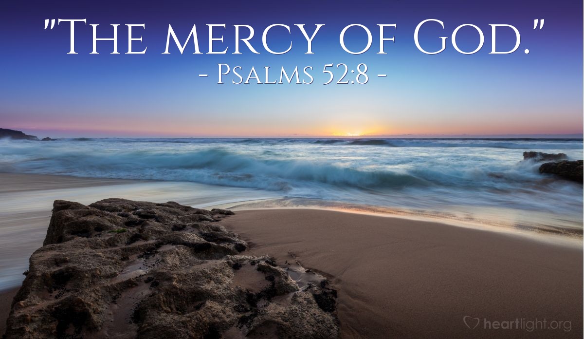 Illustration of Psalms 52:8 — "The mercy of God."