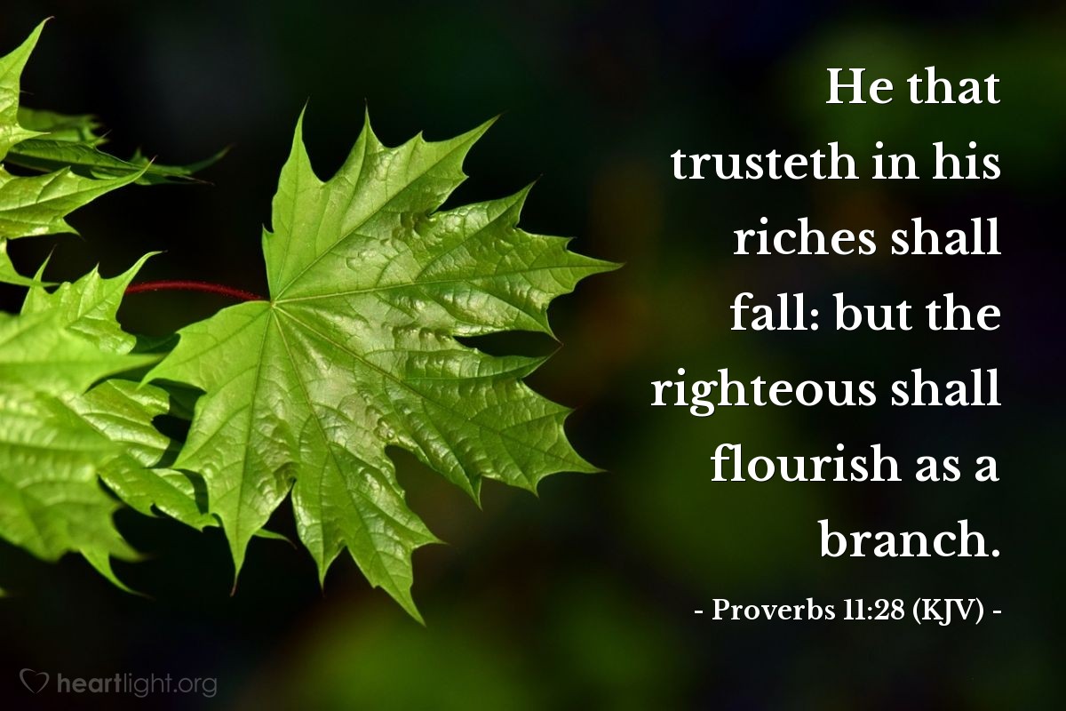 Illustration of Proverbs 11:28 (KJV) — He that trusteth in his riches shall fall: but the righteous shall flourish as a branch.