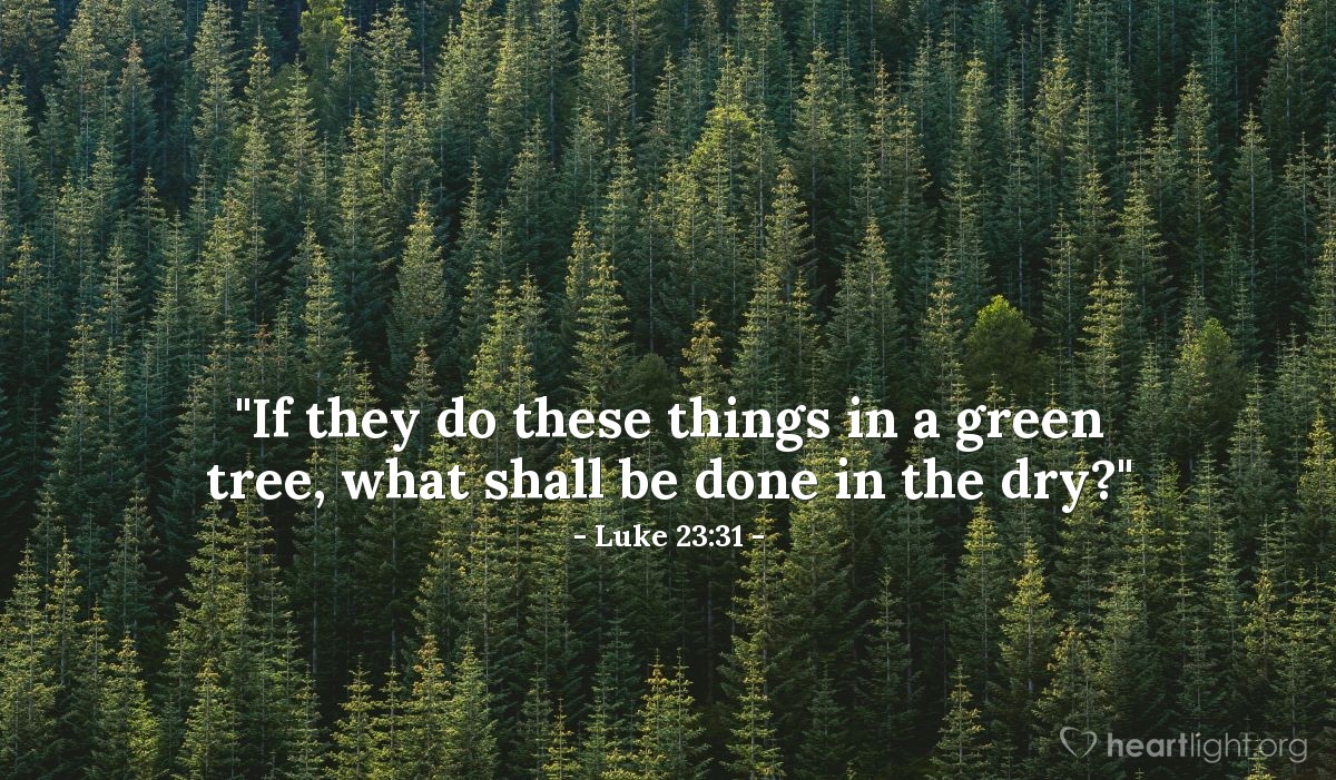 Illustration of Luke 23:31 — "If they do these things in a green tree, what shall be done in the dry?"