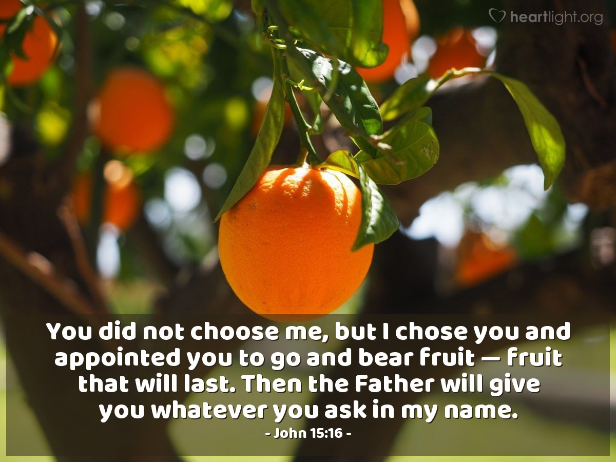 John 15:16 | You did not choose me, but I chose you and appointed you to go and bear fruit - fruit that will last. Then the Father will give you whatever you ask in my name.