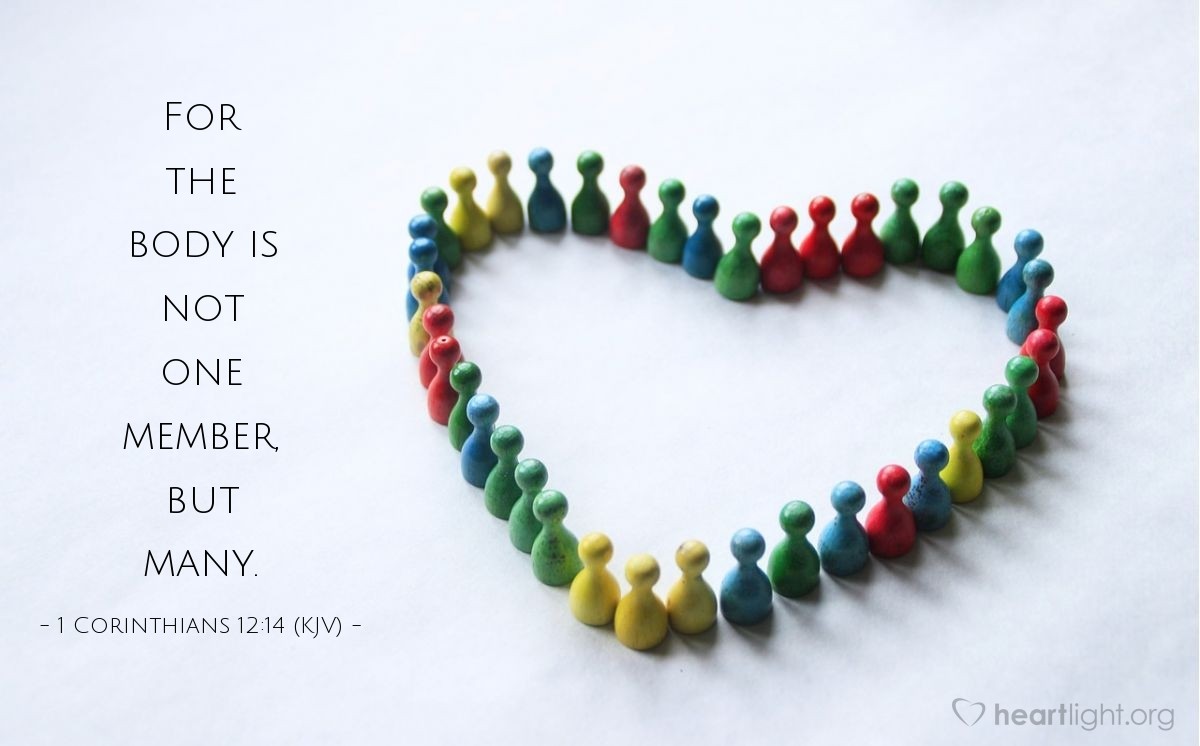 1 Corinthians 12 14 KJV Today s Verse For Wednesday December 14 2016