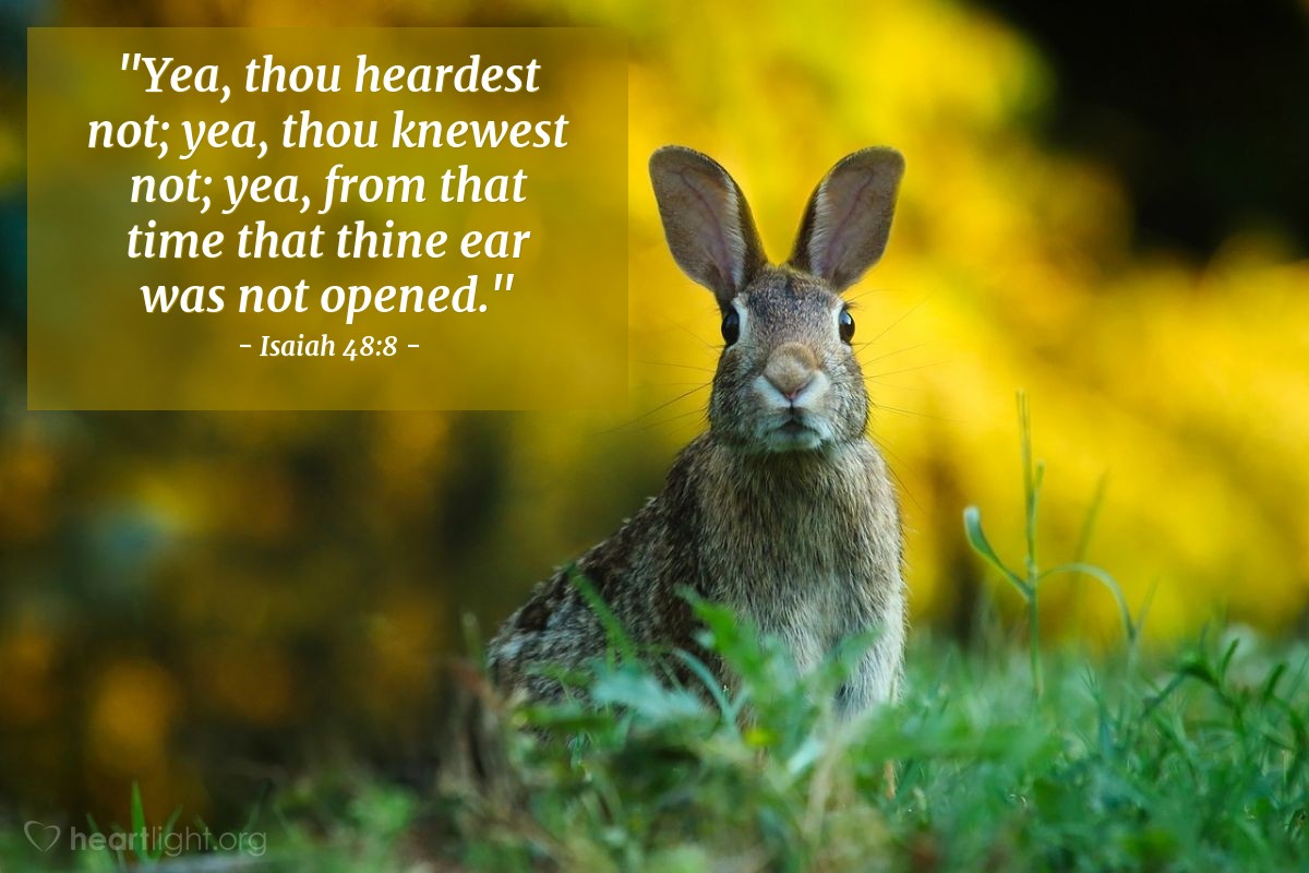 Illustration of Isaiah 48:8 — "Yea, thou heardest not; yea, thou knewest not; yea, from that time that thine ear was not opened."