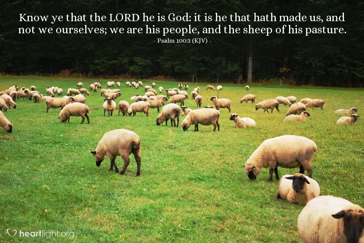Illustration of Psalm 100:3 (KJV) — Know ye that the LORD he is God: it is he that hath made us, and not we ourselves; we are his people, and the sheep of his pasture.