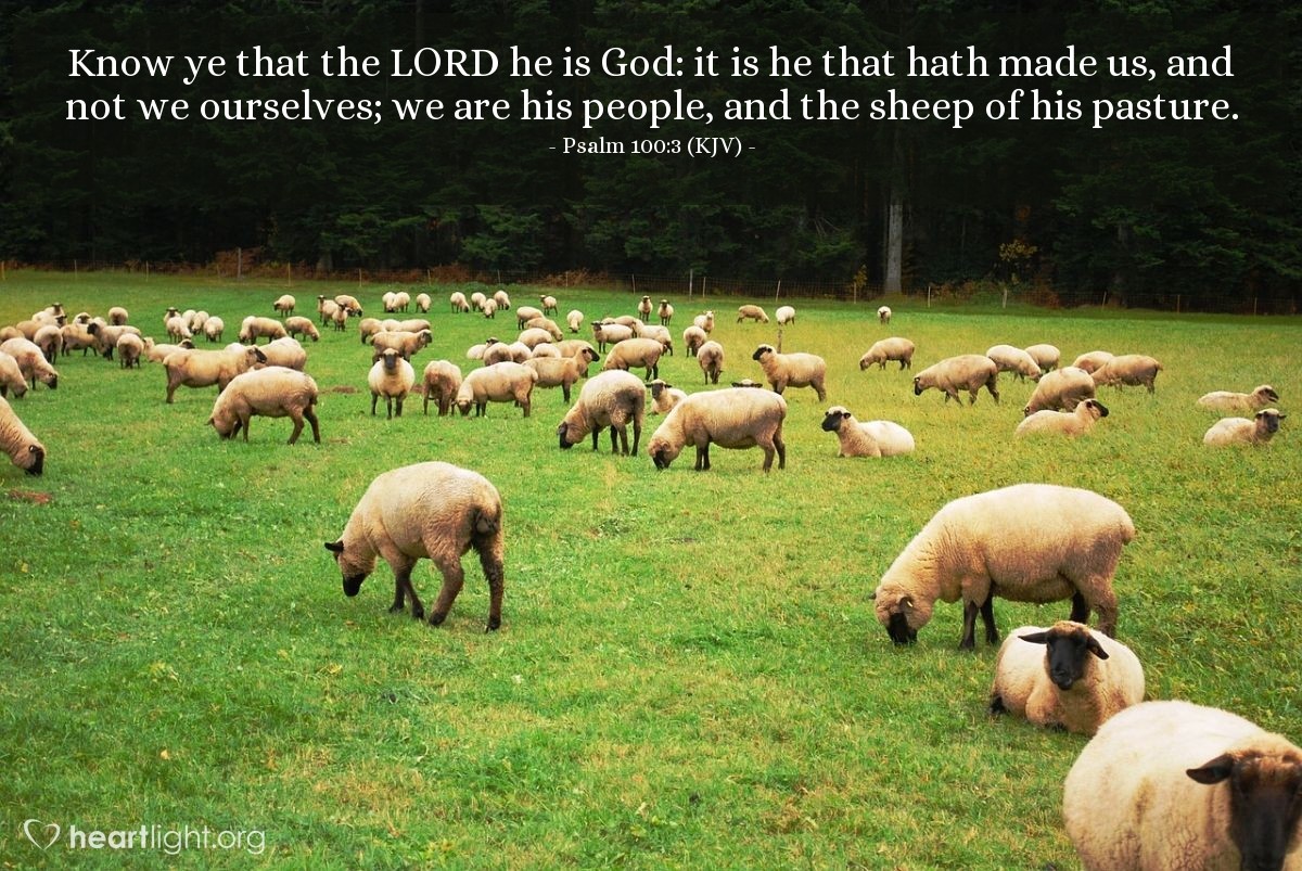Psalm 100 3 KJV Daily Wisdom For Monday June 5 2023