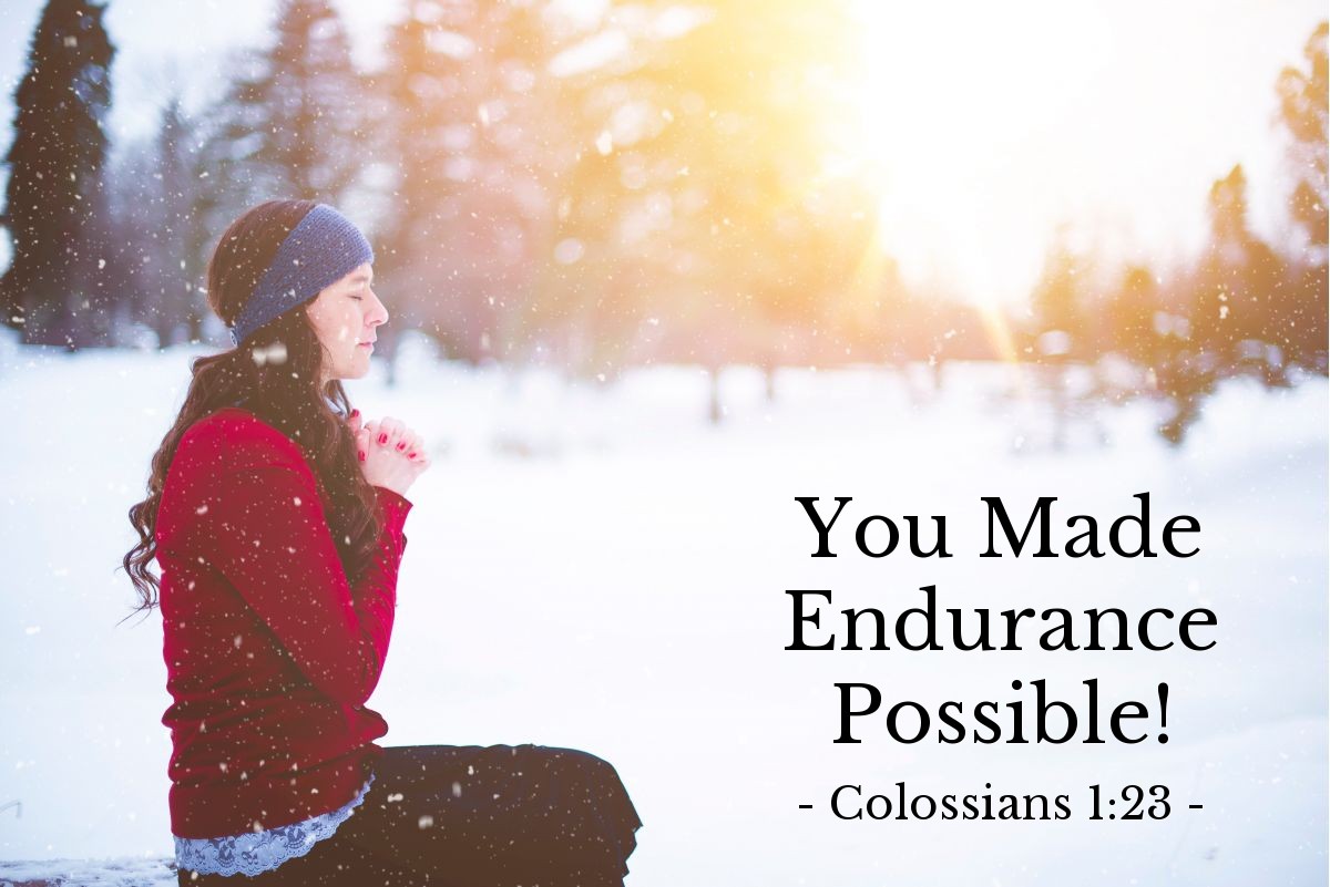 You Made Endurance Possible! — Colossians 1:23