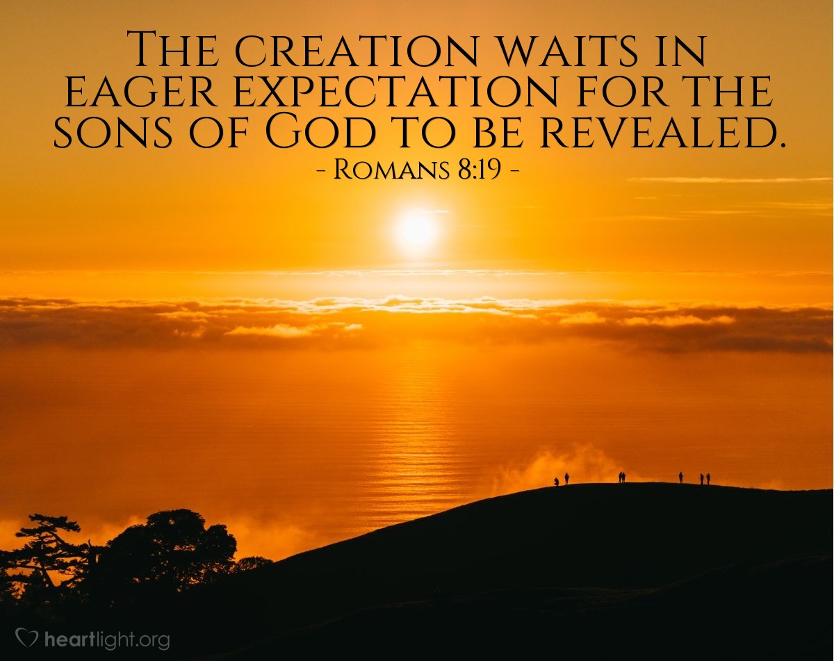 Romans 8:19 | The creation waits in eager expectation for the sons of God to be revealed.