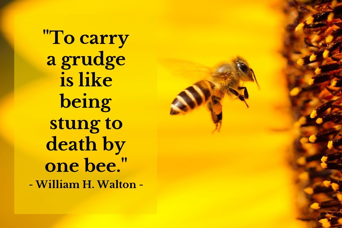 Illustration of William H. Walton — "To carry a grudge is like being stung to death by one bee."