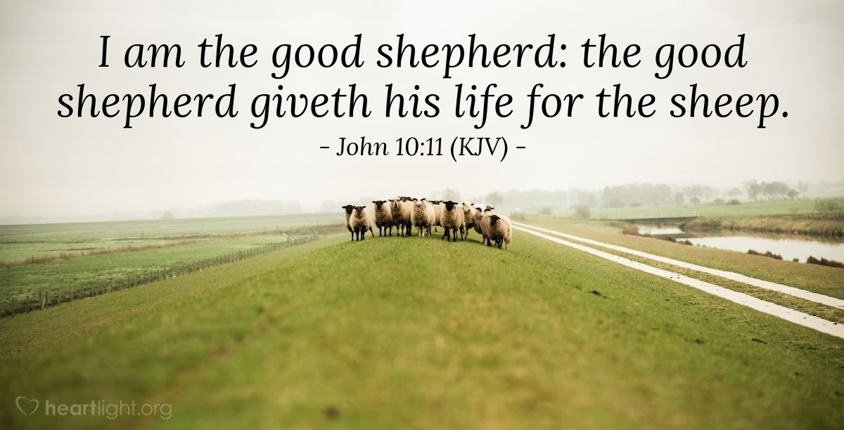 Illustration of John 10:11 (KJV) — I am the good shepherd: the good shepherd giveth his life for the sheep.