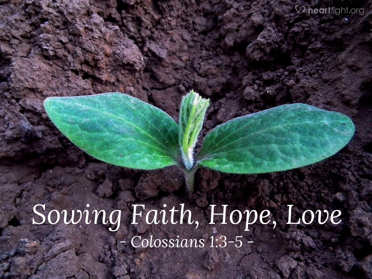 Sowing Faith, Hope, Love — Colossians 1:3-5