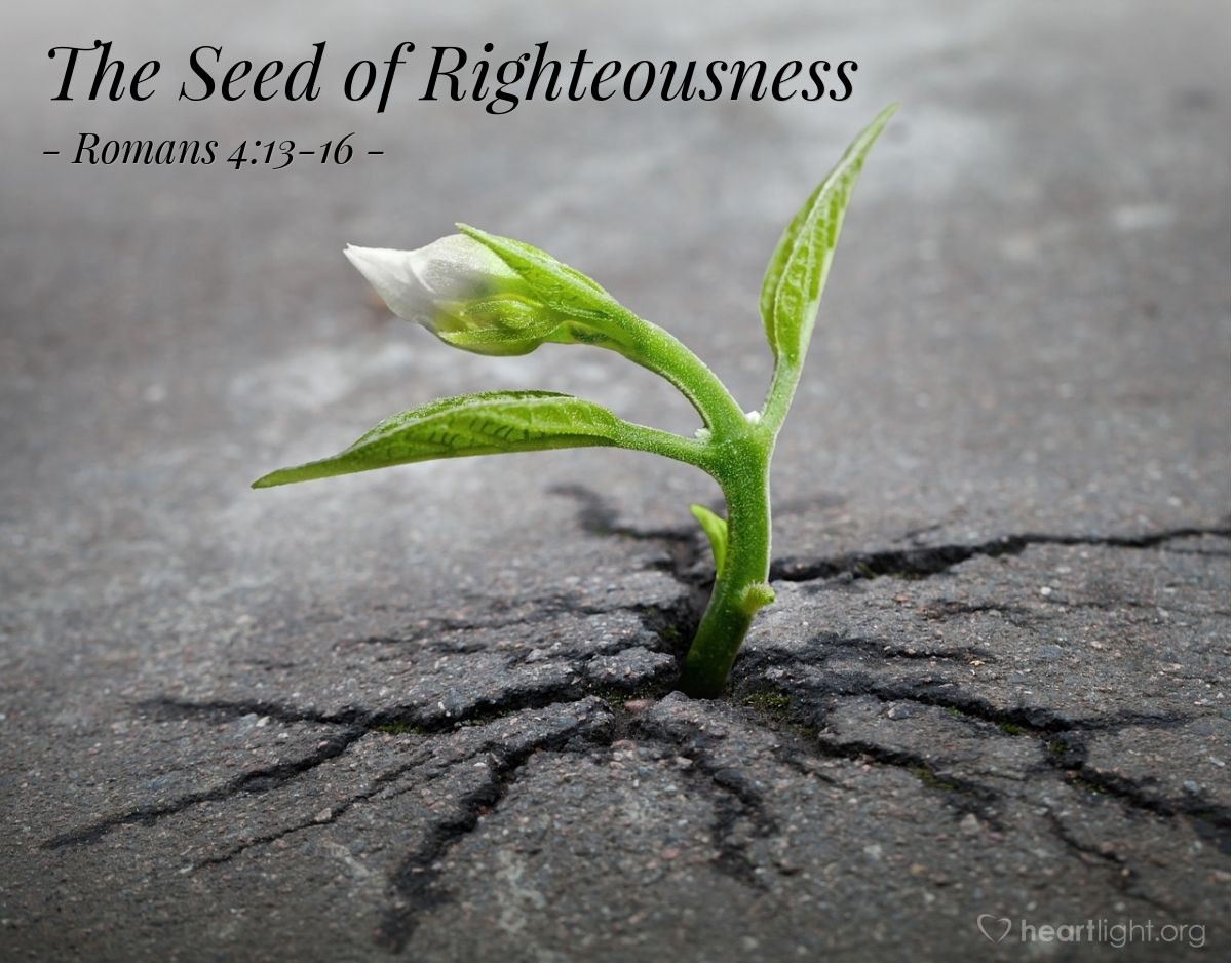 The Seed of Righteousness — Romans 4:13-16