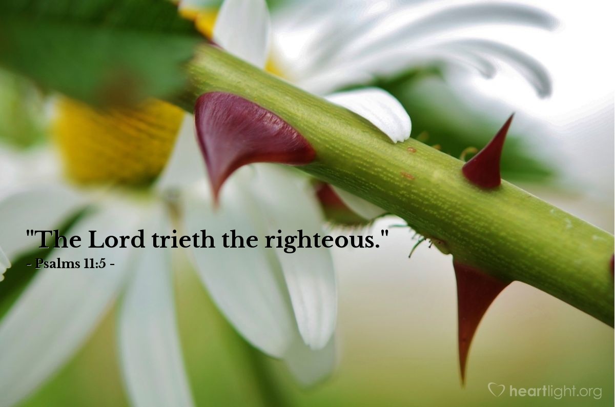 Illustration of Psalms 11:5 — "The Lord trieth the righteous."
