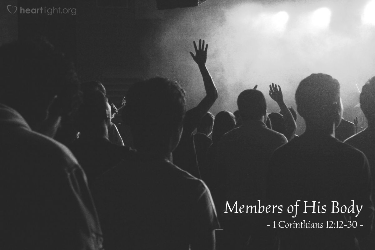 Members of His Body — 1 Corinthians 12:12-30