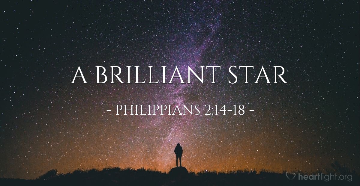 The Ultimate Loyalty — Philippians 2:19-3:7