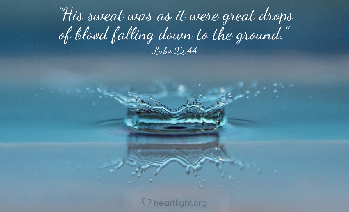 Illustration of Luke 22:44 — "His sweat was as it were great drops of blood falling down to the ground."