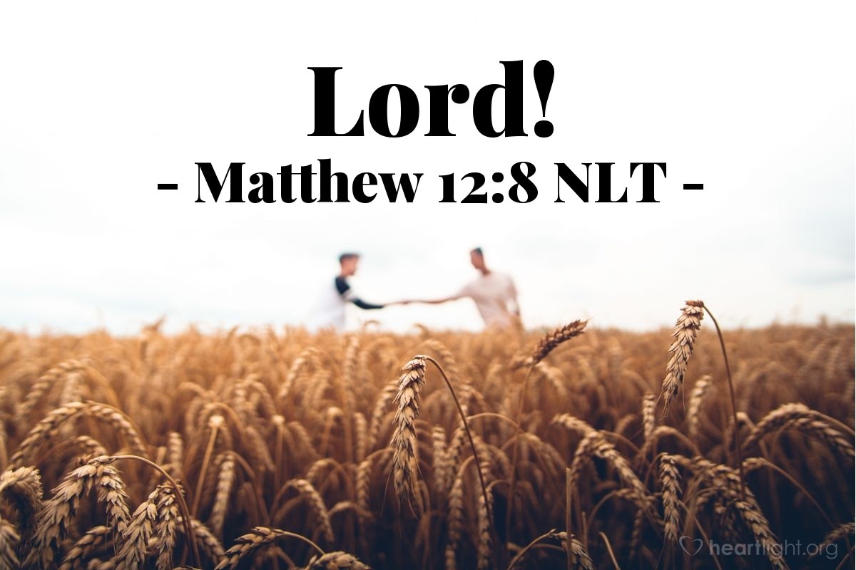 "Lord!" — Matthew 12:8 (What Jesus Did!)