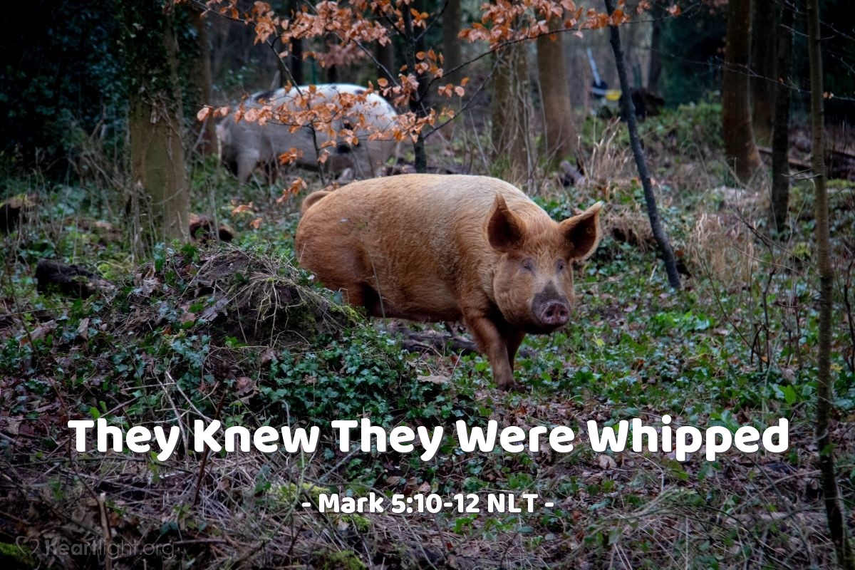 Illustration of Mark 5:10-12 NLT — "Send us into those pigs,"   ——   "Let us enter them."