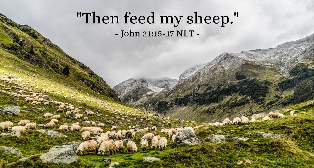 Illustration of John 21:15-17 NLT — "Then feed my sheep."