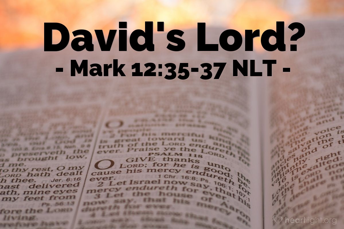 Illustration of Mark 12:35-37 NLT — "Why do the teachers of religious law claim that the Messiah is the son of David?"