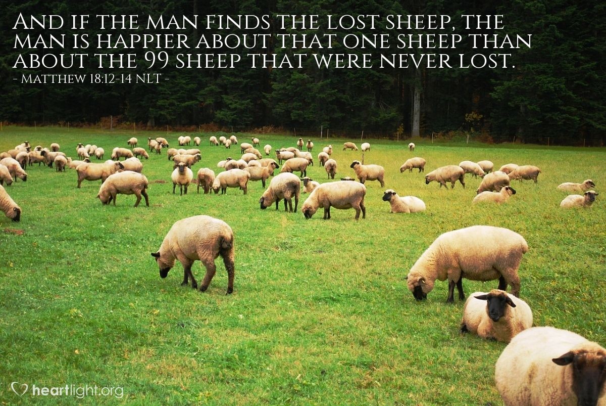 Illustration of Matthew 18:12-14 NLT —  Won't he leave the ninety-nine others on the hills and go out to search for the one that is lost?