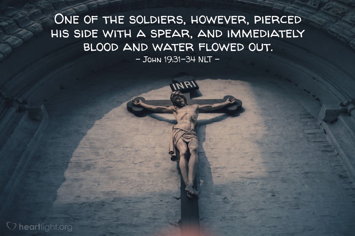 Illustration of John 19:31-34 NLT —  One of the soldiers, however, pierced his side with a spear, and immediately blood and water flowed out.