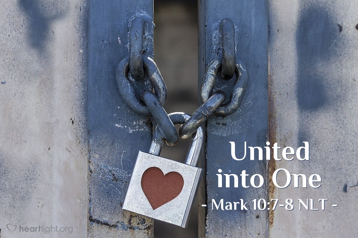 Illustration of Mark 10:7-8 NLT — "'This explains why a man leaves his father and mother and is joined to his wife, and the two are united into one.' Since they are no longer two but one, ..."